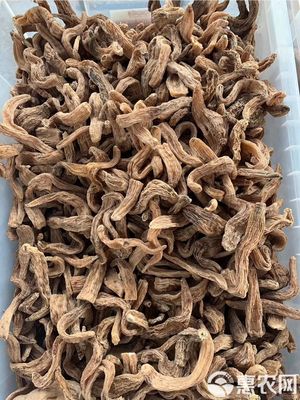 長白山天麻天然特級500g1斤