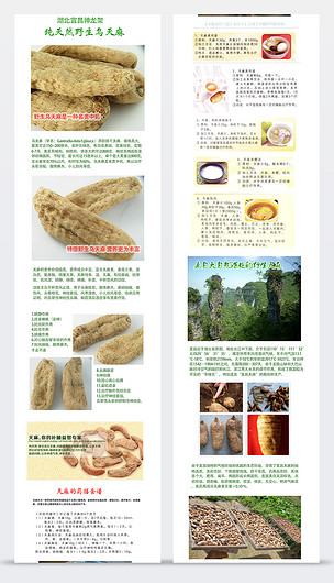 淘寶烏天麻詳情頁(yè)寶貝描述模板psd分層素材下載-編號(hào)11633906-淘寶詳情頁(yè)