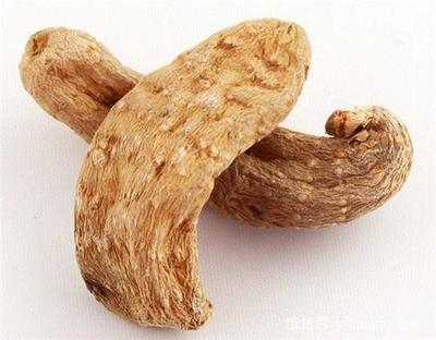 麗江天麻 雪山腳下的滋補瑰寶